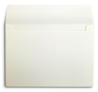 DL 110mm x 220mm - Envelopes for folded A4